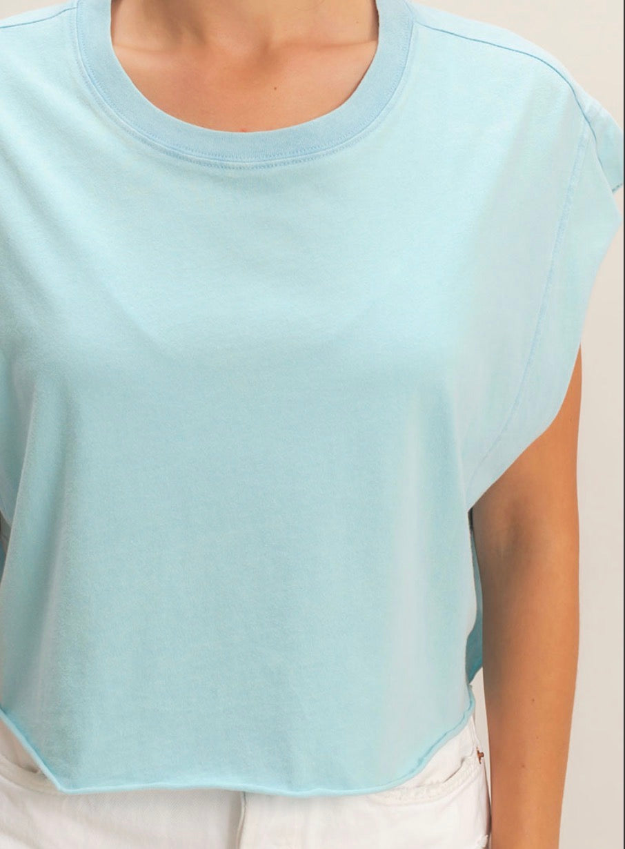 Sky Crop Top