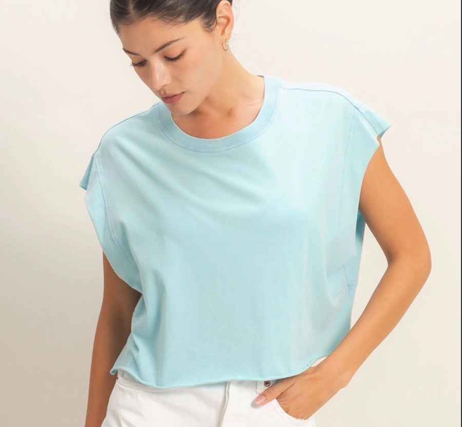 Sky Crop Top