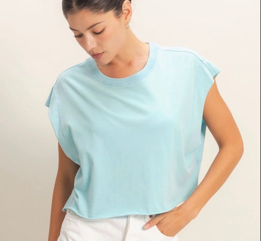 Sky Crop Top