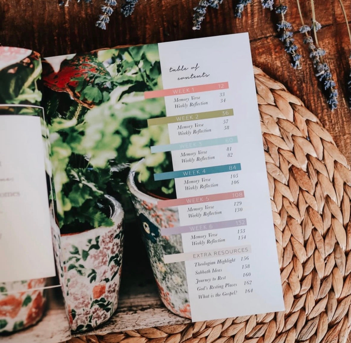 Rest Bible Study Book
